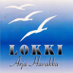 Arja Havakka : Lokki (käytetty, uutta vastaava)